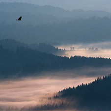 březen / duben: Ranní mlhy v polských Beskydech
