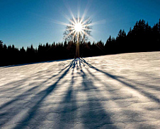 prosinec: Dny dlouhých stínů © Foto: René Kajfosz