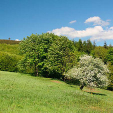 květen / červen: Pod rozhlednou na Velké Čantoryji