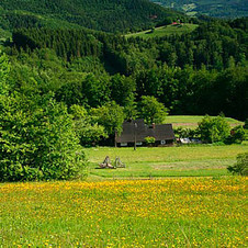 červen: Chajda nad Návsim