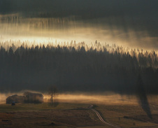 březen: Lesní stínohry © Foto: René Kajfosz