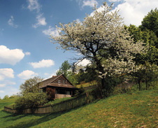 květen: Chajda pod Gírovou © Foto: René Kajfosz