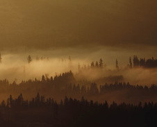 září / říjen: Naše krásné lesy © Foto: Bogdan Kaleta