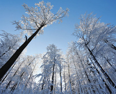 prosinec: Na svazích Stožku © Foto: Bogdan Kaleta