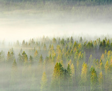 duben: Slezské Beskydy Ochodzita © Foto: Bogdan Kaleta