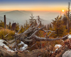 duben: Jaro v Beskydech © Foto: Martin Glatzner