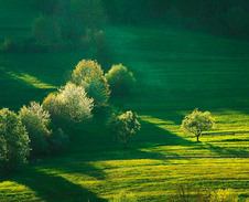 květen: Milíkov, jarní pohlazení © Foto: Bogdan Kaleta