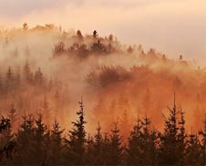 červen: Javorový vrch v mlžném ranním oparu © Foto: Bogdan Kaleta