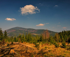 červen: Z Mečové © Foto: Petr Pazdírek