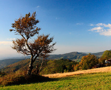 srpen: Loučka © Foto: Bogdan Kaleta