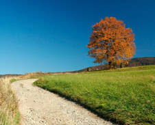 září: Podzimní cestou © Foto: René Kajfosz