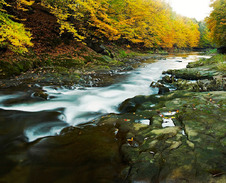 listopad: Podzimní koryto řeky Olzy © Foto: Bogdan Kaleta