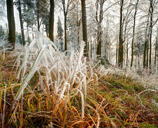 listopad: Pod Travným © Foto: Martin Glatzner