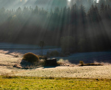 únor / březen: Chladná rána © Foto: René Kajfosz