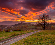 březen: Červánky © Foto: René Kajfosz