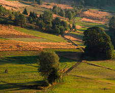 duben: Okolí Hrčavy © Foto: René Kajfosz