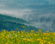 květen: Zapomenuté údolí u slovenských hranic © Foto: Bogdan Kaleta