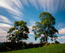 červenec: Staré Hamry © Foto: René Kajfosz