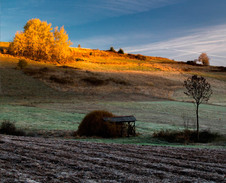 listopad: První mrazíky © Foto: René Kajfosz