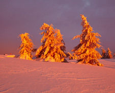 prosinec: Večerní barvení na Velké Rači © Foto: Bogdan Kaleta