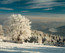 prosinec: Zima v polských Beskydech © Foto: René Kajfosz