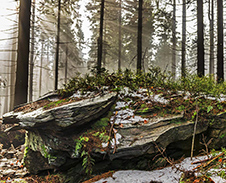 březen: Skála u Velkého Polomu © Foto: Petr Pazdírek