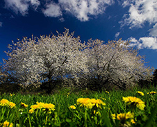duben / květen: Jarní pohlazení © Foto: René Kajfosz