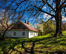 květen: Samota u lesa © Foto: René Kajfosz