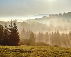 říjen: Ranní sluneční pohlazení, Šance © Foto: Bogdan Kaleta