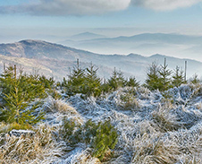 listopad / prosinec: Cestou na Skrzyczne © Foto: Bogdan Kaleta