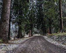 březen: Bumbálka © Foto: Petr Pazdírek