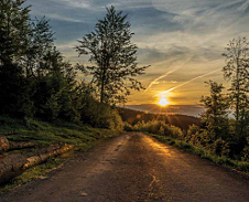 duben: Cesta z Velkého Polomu, Dolní Lomná © Foto: Petr Pazdírek