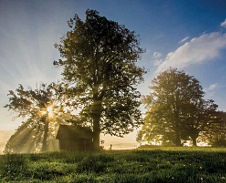 duben: Svítání na Hrčavě © Foto: René Kajfosz