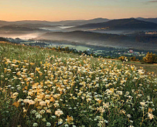 květen: Louky pod vrcholem, Ochodzita © Foto: Bogdan Kaleta