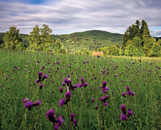 červenec: Velká Čantoryje © Foto: René Kajfosz