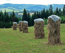 srpen / září: „Ostrevki“ na Trojmezí, Hrčava © Foto: Pavel Zubek