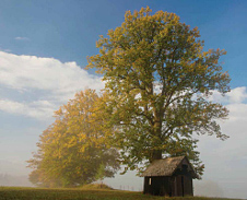 září: Podzimní Hrčava © Foto: René Kajfosz