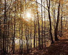 říjen: Zomczyska, Hrádek © Foto: Bogdan Kaleta