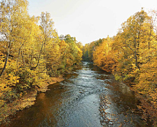 říjen: Podzim na řece Olze, Hrádek © Foto: Bogdan Kaleta