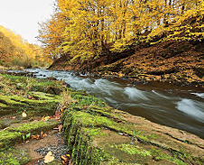 listopad: Peřeje řeky Olzy, Hrádek © Foto: Bogdan Kaleta