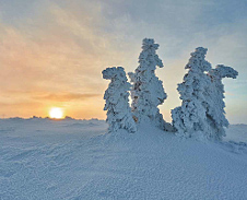 únor: Strážci mrazivé krajiny, Pilsko © Foto: Bogdan Kaleta