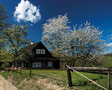 květen: Jaro na Filipce © Foto: René Kajfosz