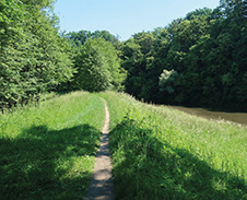 květen: Podél řeky Olzy, Český Těšín © Foto: Pavel Zubek