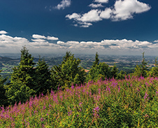 červen: Pohled z Lysé hory © Foto: Petr Pazdírek