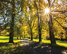 září: Podzimní cesta v Hukvaldech © Foto: René Kajfosz