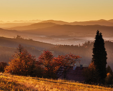 listopad: Zabarvený podzim, Bahenec © Foto: Bogdan Kaleta