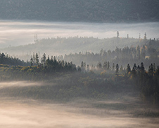 listopad: Mlhy v lesích © Foto: René Kajfosz