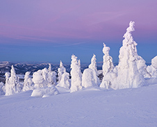 listopad / prosinec: Mrazivé ráno, Pilsko © Foto: Bogdan Kaleta