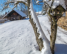 prosinec: Zima na Zimném © Foto: Pavel Zubek