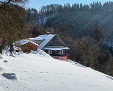 únor: Na samotě u lesa, Bystřice-Paseky © Foto: Pavel Zubek